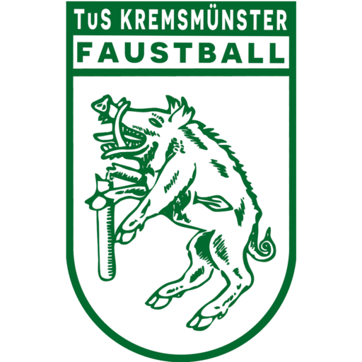 tus_kremsmuenster_faustball's profile picture